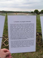 Charrue brabant (30eme fete des moissons de Saint-Jean-de-Touslas) (txt)